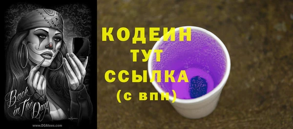 дживик Абаза