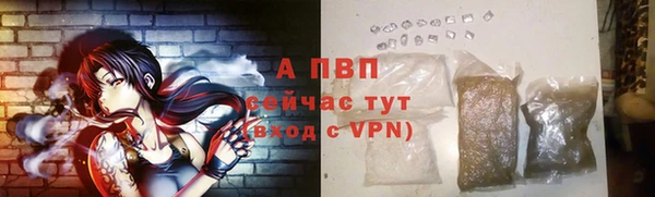дживик Абаза