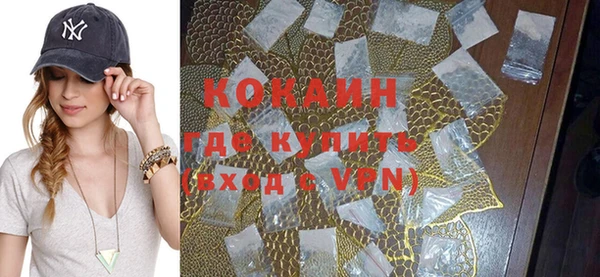 дживик Абаза