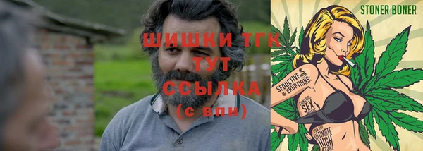 дживик Абаза