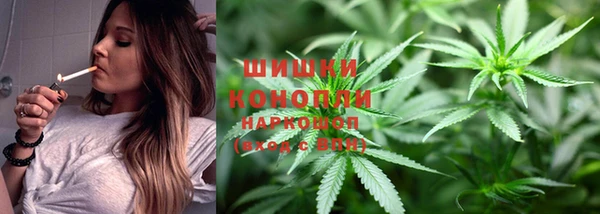 дживик Абаза