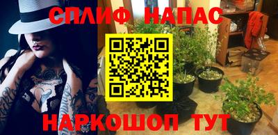 бошки Донской