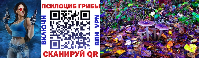 Псилоцибиновые грибы Psilocybine cubensis  Нижневартовск 