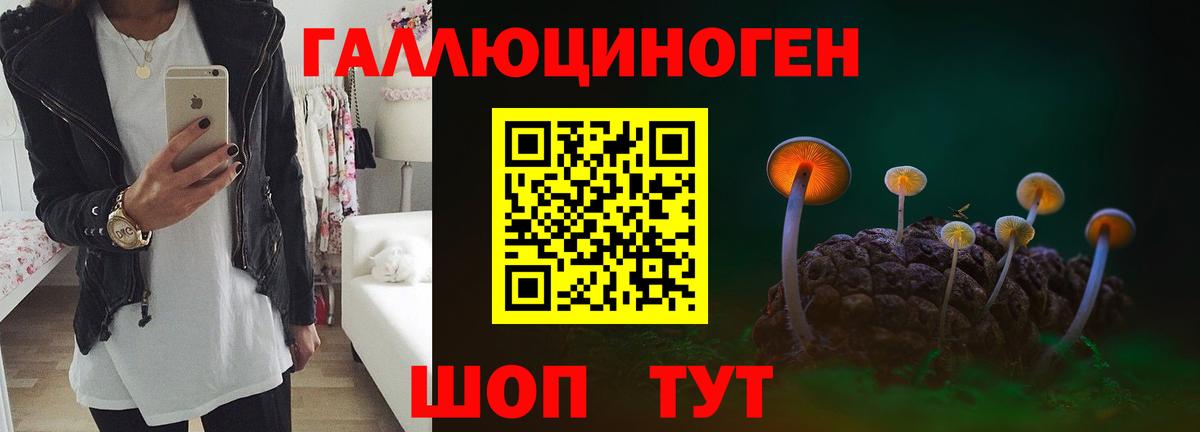 Псилоцибиновые грибы Psilocybine cubensis  Вход с VPN  Нижневартовск 